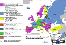 Tags: common, european, languages, meaning, penis, slang, word (Pict. in My r/MAPS favs)