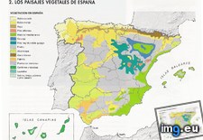 Tags: natural, spain, vegetation (Pict. in My r/MAPS favs)