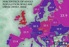 Tags: 650x607, europe, obesity, rates (Pict. in My r/MAPS favs)