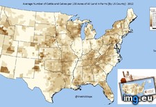 Tags: acres, average, calves, cattle, county, farms, land, number (Pict. in My r/MAPS favs)