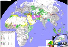 Tags: islamic, languages, primary, world (Pict. in My r/MAPS favs)