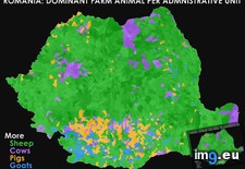 Tags: administrative, animal, farm, romania, unit (Pict. in My r/MAPS favs)