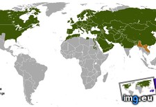 Tags: distribution, fox, red, world (Pict. in My r/MAPS favs)