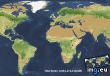 Tags: earth, square, trees (Pict. in My r/MAPS favs)