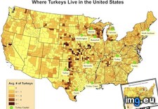 Tags: 800x617, live, states, turkeys, united (Pict. in My r/MAPS favs)