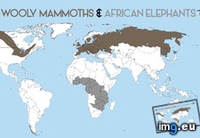 Tags: african, elephants, mammoths, wooly (Pict. in My r/MAPS favs)