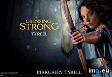 Tags: margaery, tyrell (Pict. in Game of Thrones ART (A Song of Ice and Fire))