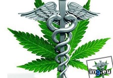 Tags: marijuana, medical, symbol (Pict. in Alternative-News.tk)