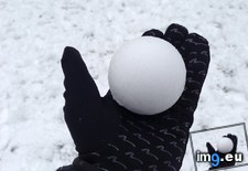 Tags: perfect, snowball (Pict. in My r/MILDLYINTERESTING favs)