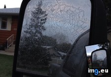 Tags: froze, mirror, spiderweb, trucks (Pict. in My r/MILDLYINTERESTING favs)