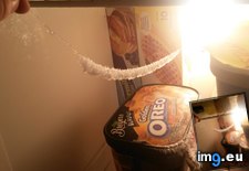 Tags: accidentally, freezer, frost, left, string, tiny (Pict. in My r/MILDLYINTERESTING favs)