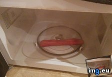 Tags: calculating, light, microwave, sausage, speed (Pict. in My r/MILDLYINTERESTING favs)