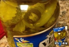 Tags: che, pickle, slice (Pict. in My r/MILDLYINTERESTING favs)