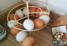Tags: dispenser, egg (Pict. in My r/MILDLYINTERESTING favs)