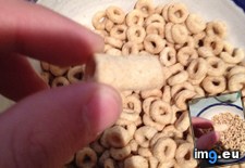 Tags: cheerio, extra, long (Pict. in My r/MILDLYINTERESTING favs)