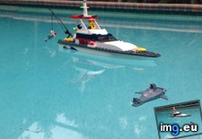 Tags: accompanying, boat, christmas, fin, floats, for, gave, lego, shark, son, water (Pict. in My r/MILDLYINTERESTING favs)