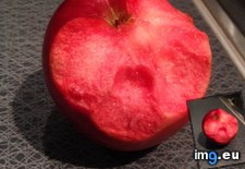 Tags: apple, ate, flesh, red (Pict. in My r/MILDLYINTERESTING favs)