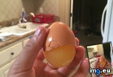 Tags: cracked, egg, membrane, stuck (Pict. in My r/MILDLYINTERESTING favs)