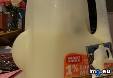 Tags: dropped, gallon, got, milk, surprise (Pict. in My r/MILDLYINTERESTING favs)