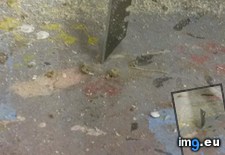 Tags: blade, concrete, dropped, floor, razor, stuck (Pict. in My r/MILDLYINTERESTING favs)