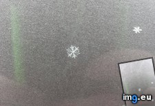 Tags: car, morning, perfect, snowflake (Pict. in My r/MILDLYINTERESTING favs)