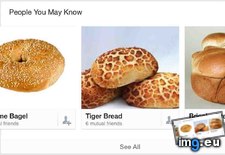 Tags: bread, facebook, friends, suggested (Pict. in My r/MILDLYINTERESTING favs)