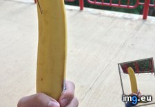 Tags: abnormally, banana, large, lunch (Pict. in My r/MILDLYINTERESTING favs)