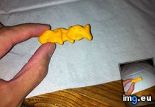 Tags: goldfish, had, siamese, triplets (Pict. in My r/MILDLYINTERESTING favs)