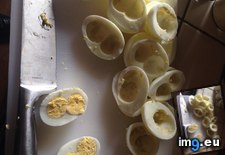 Tags: boiled, double, dozen, eggs, hard, one, yolks (Pict. in My r/MILDLYINTERESTING favs)