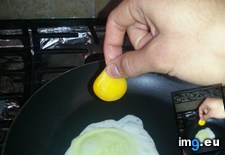 Tags: plucked, yolk (Pict. in My r/MILDLYINTERESTING favs)
