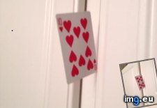 Tags: cards, happened, throwing, was (Pict. in My r/MILDLYINTERESTING favs)