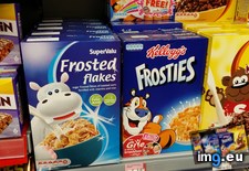 Tags: brand, europe, flakes, frosted, frosties, generic (Pict. in My r/MILDLYINTERESTING favs)