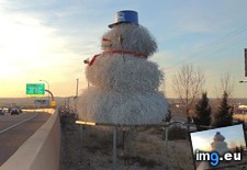 Tags: are, mexico, new, our, out, snowmen, tumbleweeds (Pict. in My r/MILDLYINTERESTING favs)