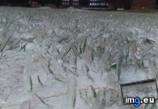 Tags: blades, frozen, grass, individually (Pict. in My r/MILDLYINTERESTING favs)