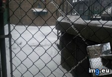 Tags: fence, formation, ice, interesting, neighbour (Pict. in My r/MILDLYINTERESTING favs)