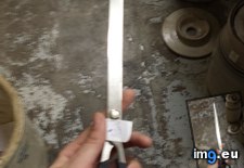 Tags: for, fuzzy, longest, photo, scissors (Pict. in My r/MILDLYINTERESTING favs)