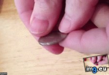 Tags: double, eagle, misprinted, quarter (GIF in My r/MILDLYINTERESTING favs)