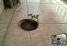Tags: 4th, apartment, balcony, floor, grow (Pict. in My r/MILDLYINTERESTING favs)