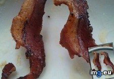 Tags: bacon, looked, seahorses (Pict. in My r/MILDLYINTERESTING favs)