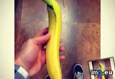 Tags: banana, control, curve (Pict. in My r/MILDLYINTERESTING favs)