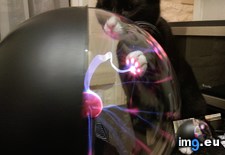 Tags: ball, cat, plasma, smooch (Pict. in My r/MILDLYINTERESTING favs)