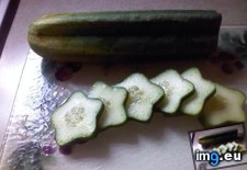 Tags: accidentally, cucumber, dad, grew, shaped, star (Pict. in My r/MILDLYINTERESTING favs)