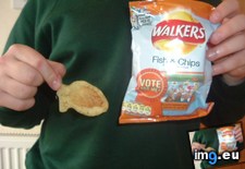 Tags: chips, crisp, fish, flavoured, shaped (Pict. in My r/MILDLYINTERESTING favs)