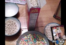 Tags: boxes, cereal, facebook, family, friend, marshmallows, sized, split, two (Pict. in My r/MILDLYINTERESTING favs)