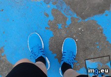 Tags: colour, floor, paint, sneakers (Pict. in My r/MILDLYINTERESTING favs)