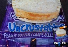 Tags: crust, had, sandwich, uncrustables (Pict. in My r/MILDLYINTERESTING favs)