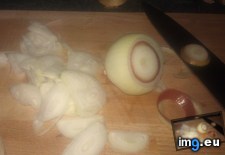 Tags: brown, cut, layer, one, onions, white (Pict. in My r/MILDLYINTERESTING favs)