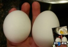Tags: cooking, eggs, one, oval, shaped, was (Pict. in My r/MILDLYINTERESTING favs)