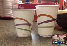 Tags: cups, incorrectly, labeled, one (Pict. in My r/MILDLYINTERESTING favs)