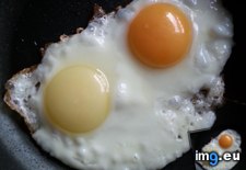 Tags: box, egg, eggs, normal, one, pale (Pict. in My r/MILDLYINTERESTING favs)